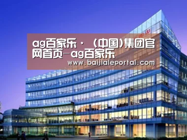 案例展示五