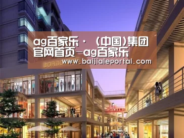 案例展示一