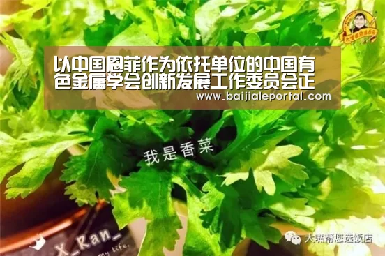 以中国恩菲作为依托单位的中国有色金属学会创新发展工作委员会正式成立【ag百家乐】(图1) ag百家乐集团