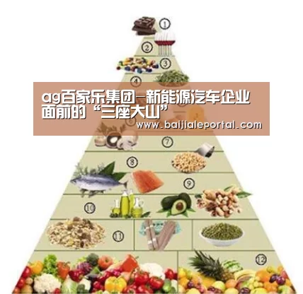 ag百家乐官方
