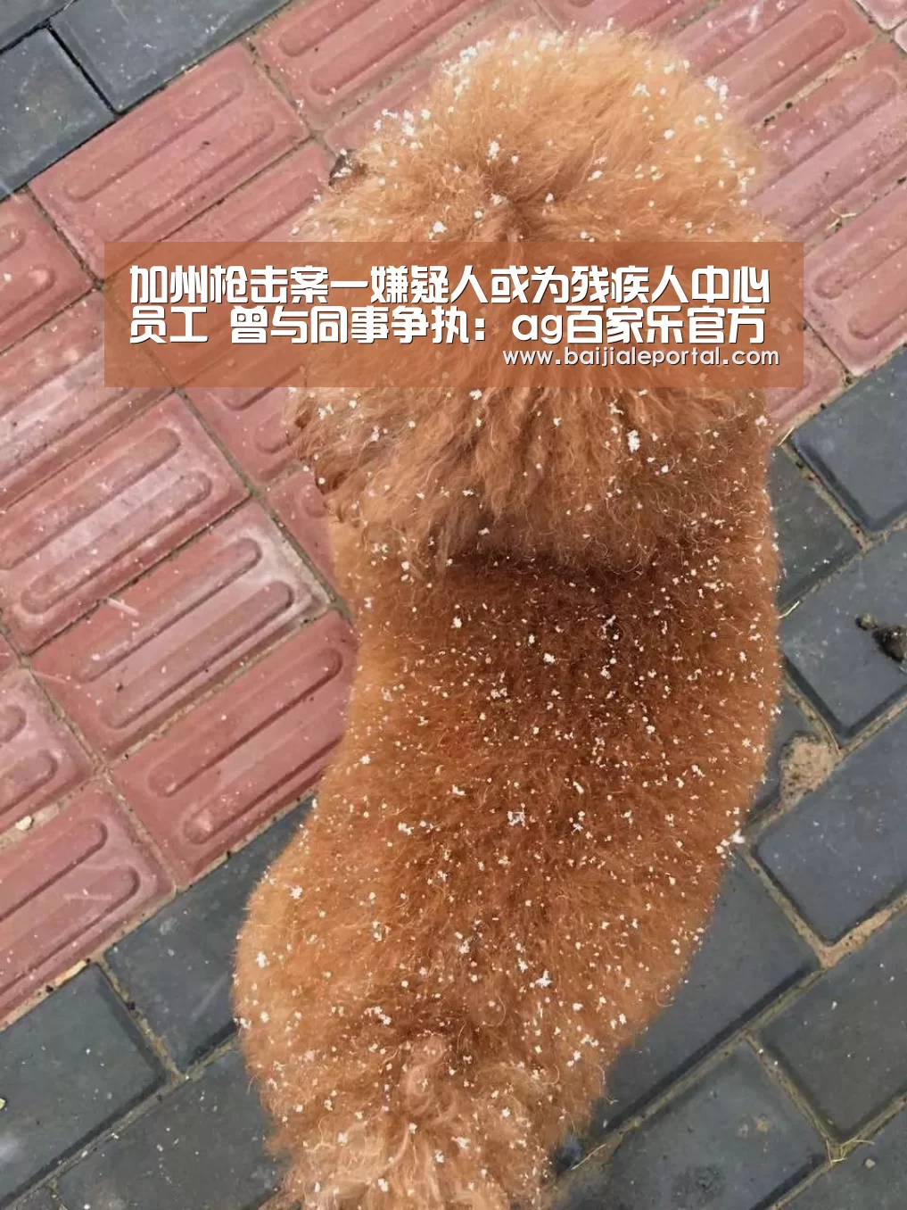 加州枪击案一嫌疑人或为残疾人中心员工 曾与同事争执:ag百家乐官方(图2) ag百家乐登录