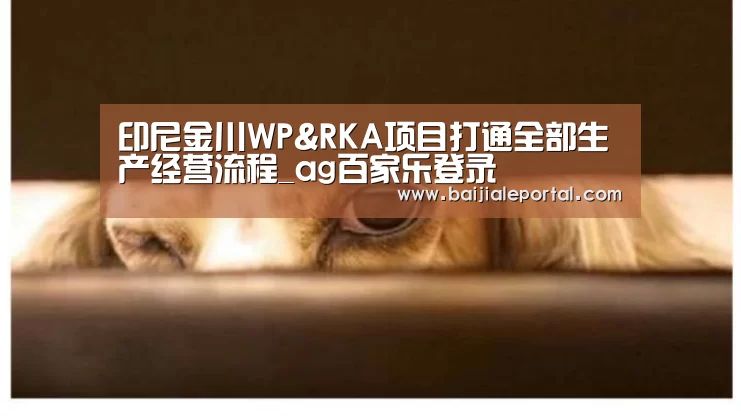 印尼金川WP&RKA项目打通全部生产经营流程_ag百家乐登录(图1) ag百家乐
