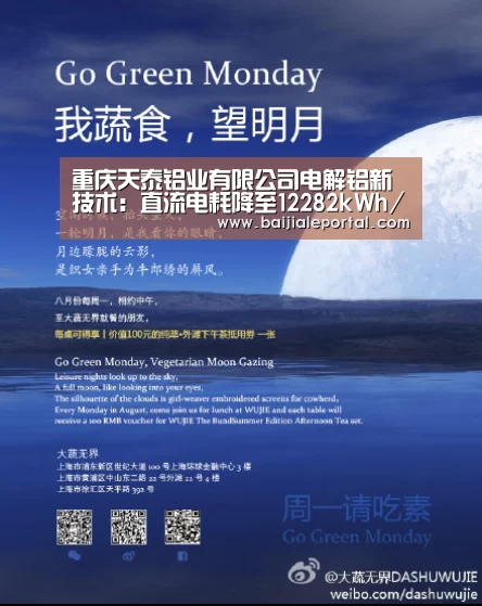 重庆天泰铝业有限公司电解铝新技术:直流电耗降至12282kWh/t-Al|ag百家乐集团(图1) ag百家乐